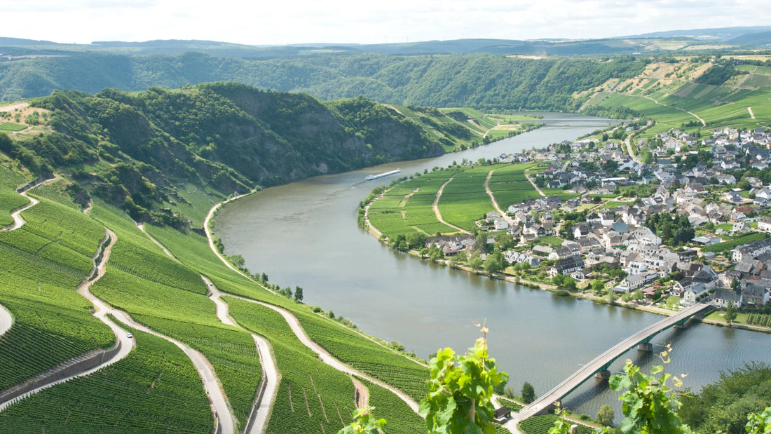 Understanding Riesling