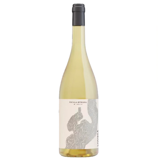 Escala humana Livvera Malvasia 2022